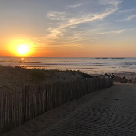 Les Pieds Dans Le Sable - 200 M De La *